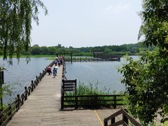 -溱湖国家湿地公园