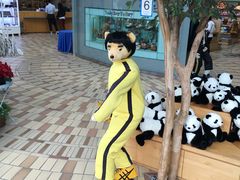 -济州岛泰迪熊博物馆