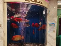 -齐家花园大酒店(宝山店)