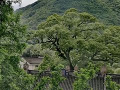 -东海大峡谷