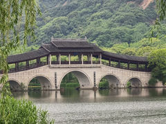 -长广溪湿地公园