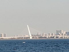 -彩虹沙滩