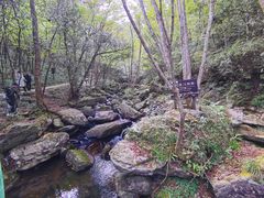 -燕子河大峡谷天坑仙境