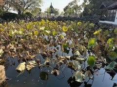 -无锡蠡湖国家湿地公园-蠡园