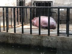 -石家庄市动物园