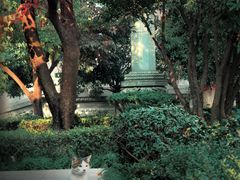 -西安大兴善寺