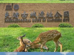 -良渚古城遗址公园