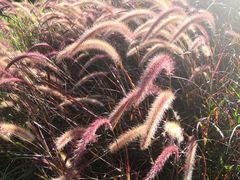 -深圳市人才园(深南大道店)