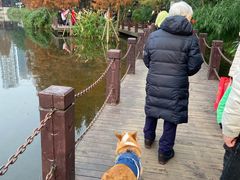 -重庆彩云湖湿地公园