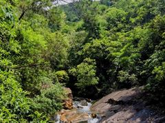 -广州白江湖森林公园