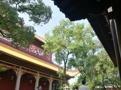 -南岳衡山风景名胜区-南岳大庙