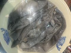 -镇江龙·火锅串串(武侯祠店)