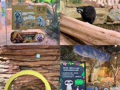 -正佳雨林生态植物园