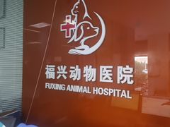 -瑞派福兴宠物医院犬猫全科·骨科·中西医结合(河东店)