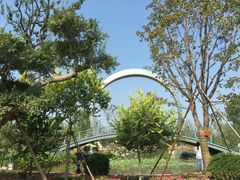 -武清南湖绿博园