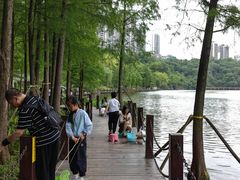 -重庆彩云湖湿地公园