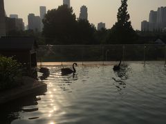 -行者书屋大堂吧 ·下午茶(南京圣和府邸酒店)