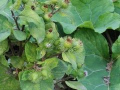 -西宁福茵长乐国际大酒店