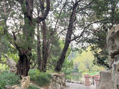 -叶家花园