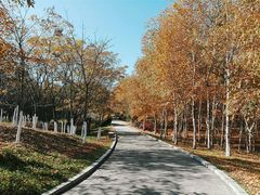 -长春世界雕塑园冰雪艺术天地