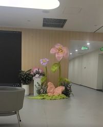 -上海伊莱美医疗美容医院