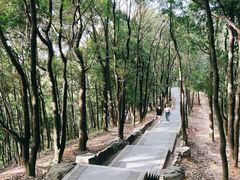 -阳台山森林公园