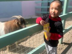 -杭州开元森泊度假乐园