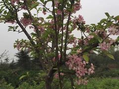 -白鹭湾湿地公园