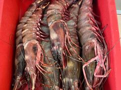 -ZF Seafood Restaurant 卓峰海鲜餐