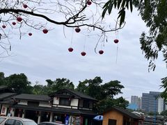 -观澜山水田园