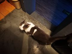 -后院儿·精酿·塔罗Happy Bar