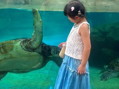 -海合安成都极地海洋公园