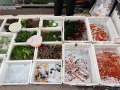 -苏州市皮市街花鸟工艺品市场