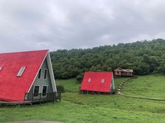 -关山草原