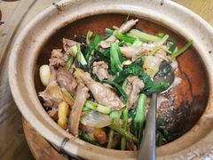 -大鸽饭(岗顶店)
