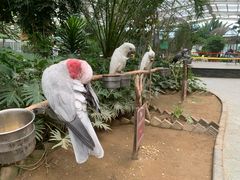 -南宫五洲植物乐园