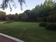 -达活泉公园