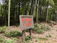 -十里琅珰