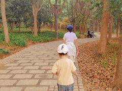 -高子水居