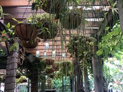 -The Grounds of Alexandria