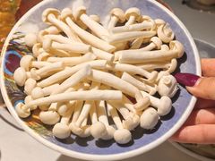 -雀舞云南菜(天津天河城购物中心店)