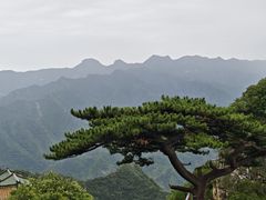 -圣莲山风景区