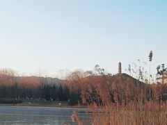 -北坞公园