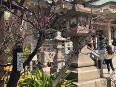 -难波八坂神社