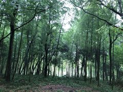 -玉女潭景区