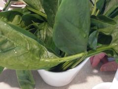 菠菜-天都火锅酒楼(虹梅南路店)