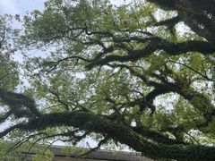 -蒋氏故居