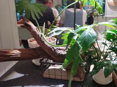 -一尺花园(安和花园店)