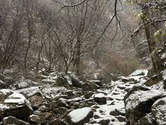 -抱龙峪