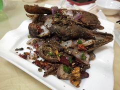 -怪怪龙虾·澳洲蓝龙王·深夜食堂(惊驾路店)